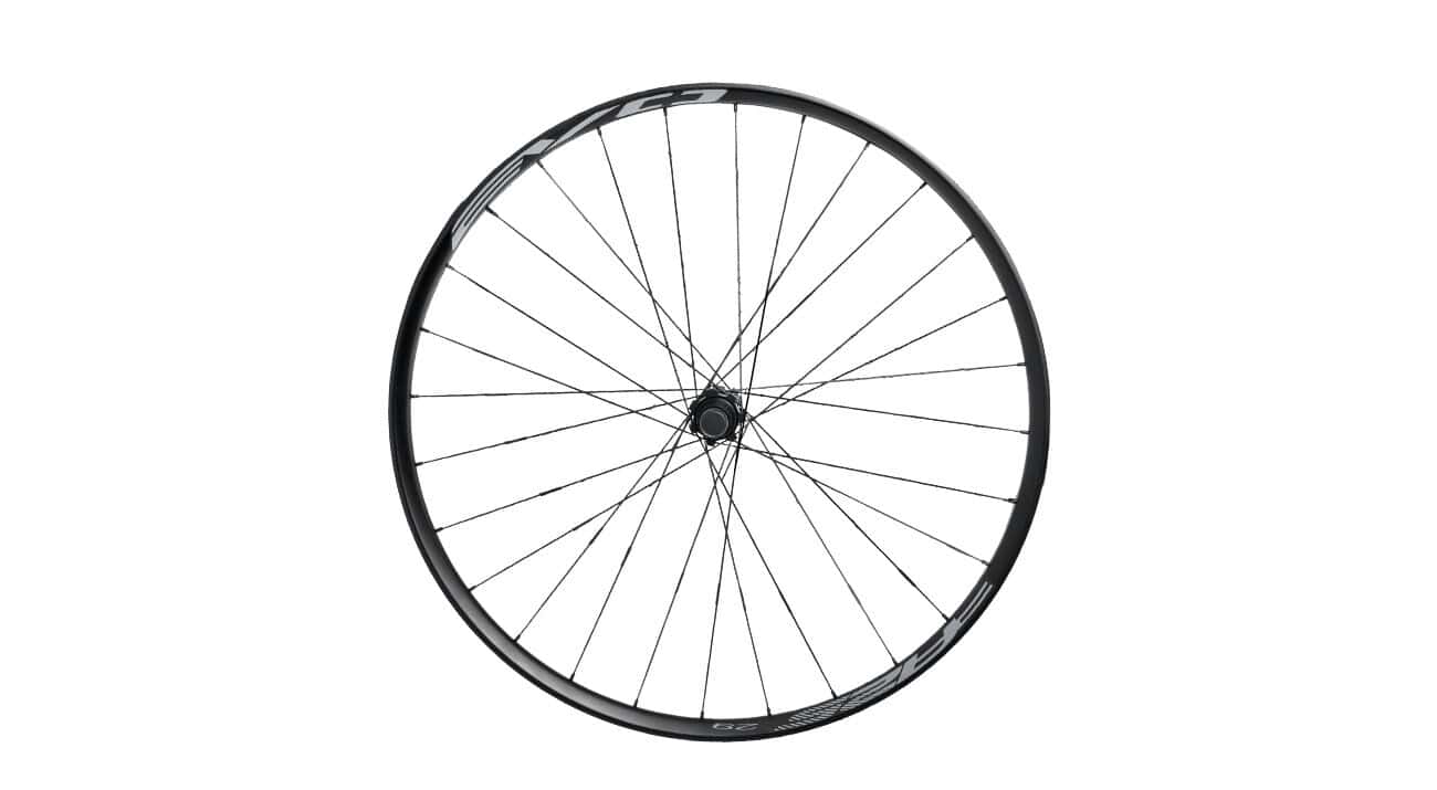 BH Rueda EVO 29B Alu Delantera 15 6A